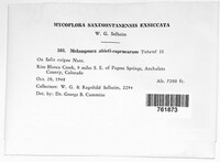 Image Associated With the Occurence